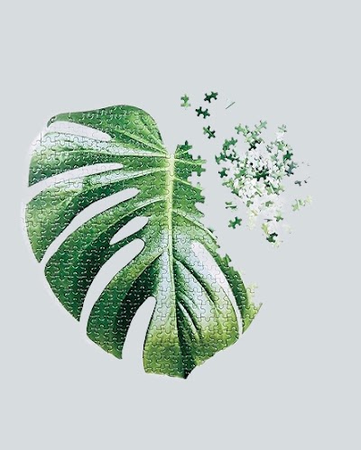 Doiy — Monstera Jigsaw Puzzle -  500 Pieces — Đồ chơi